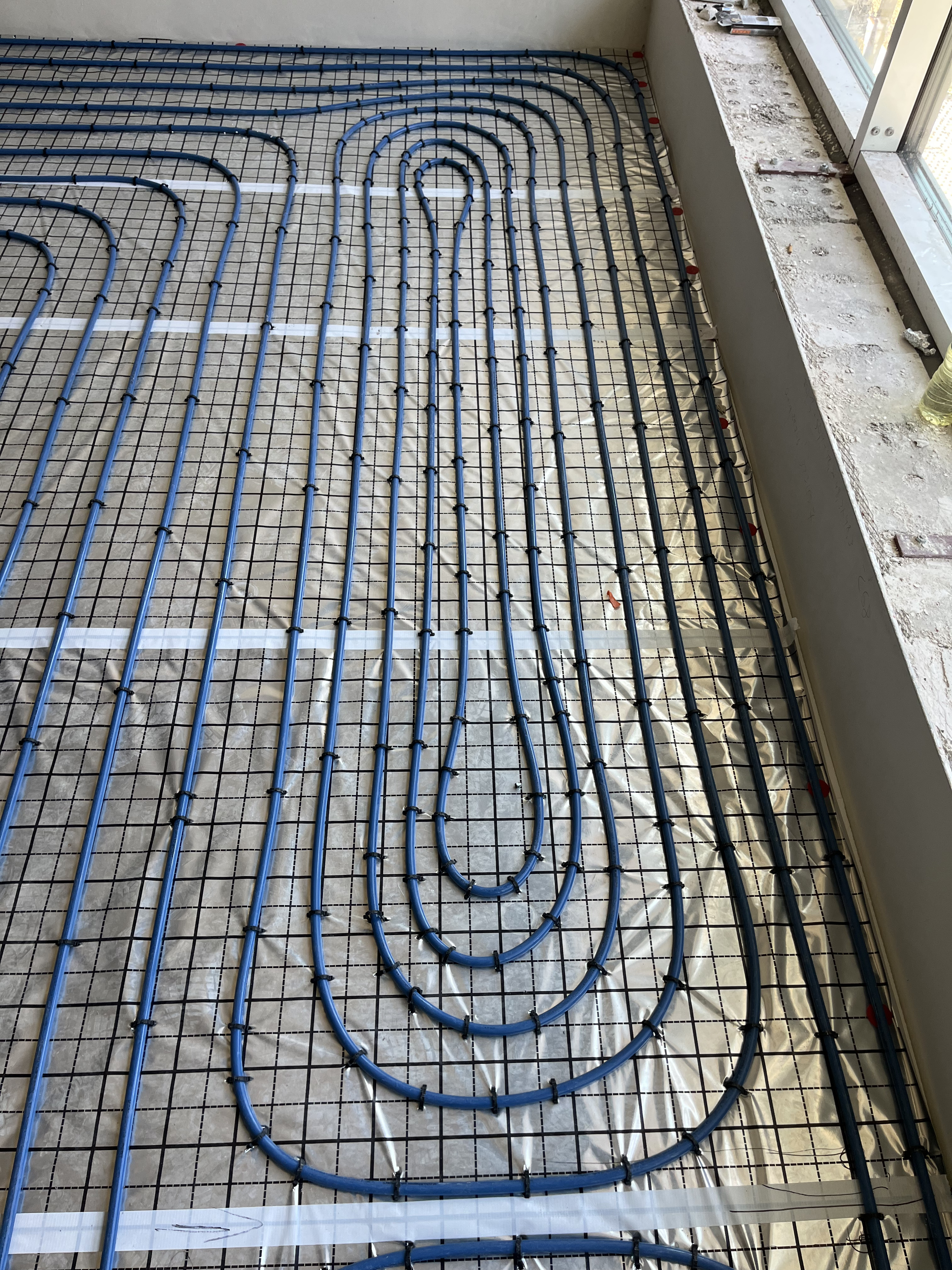 IMG_7411.jpg